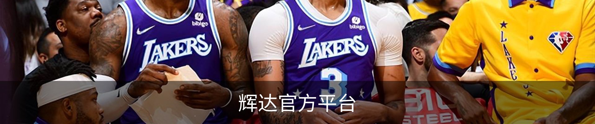 辉达官方平台